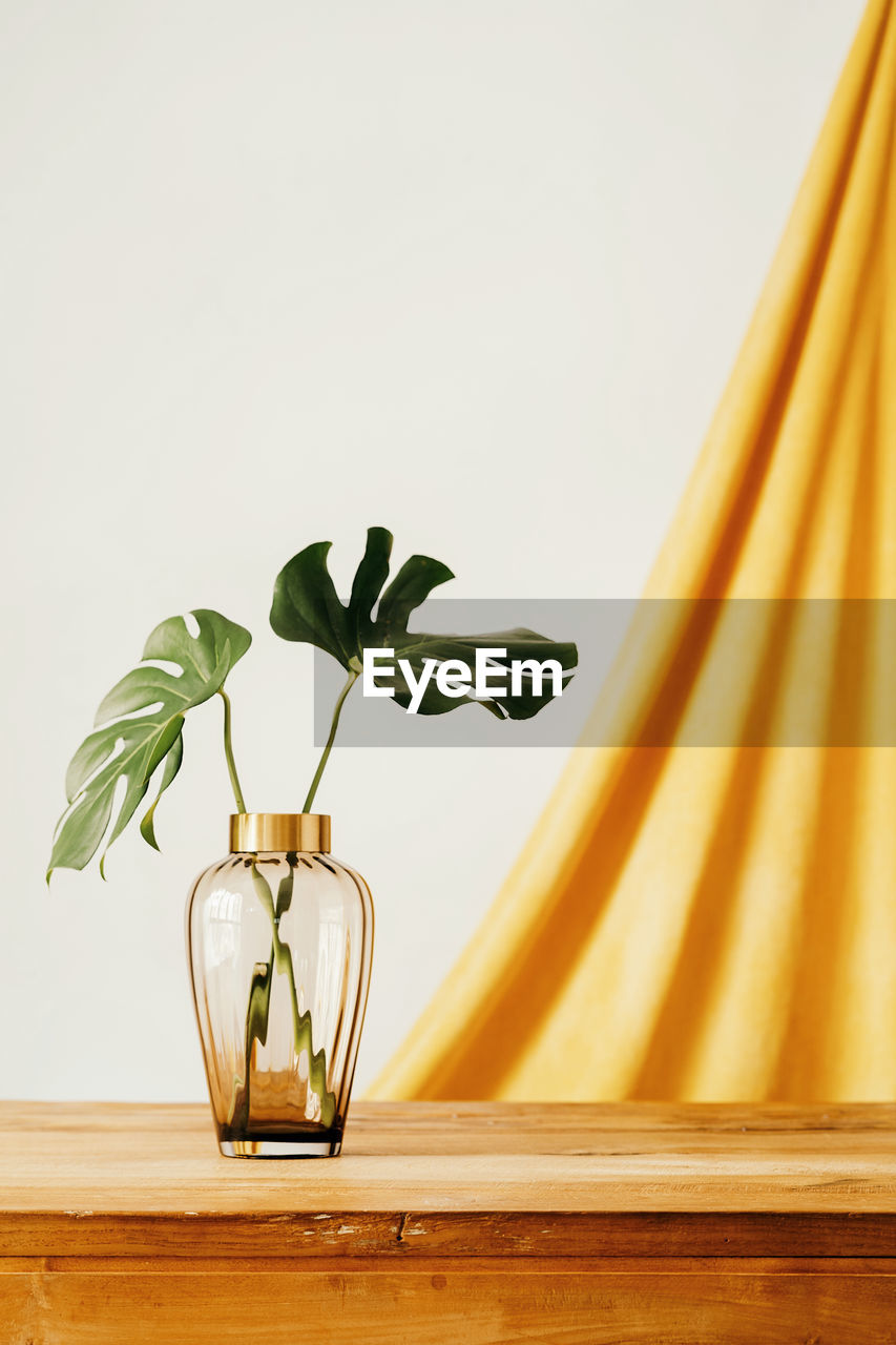 Fresh green leaves of tropical plant in glass vase placed on wooden table against white wall and yellow cloth