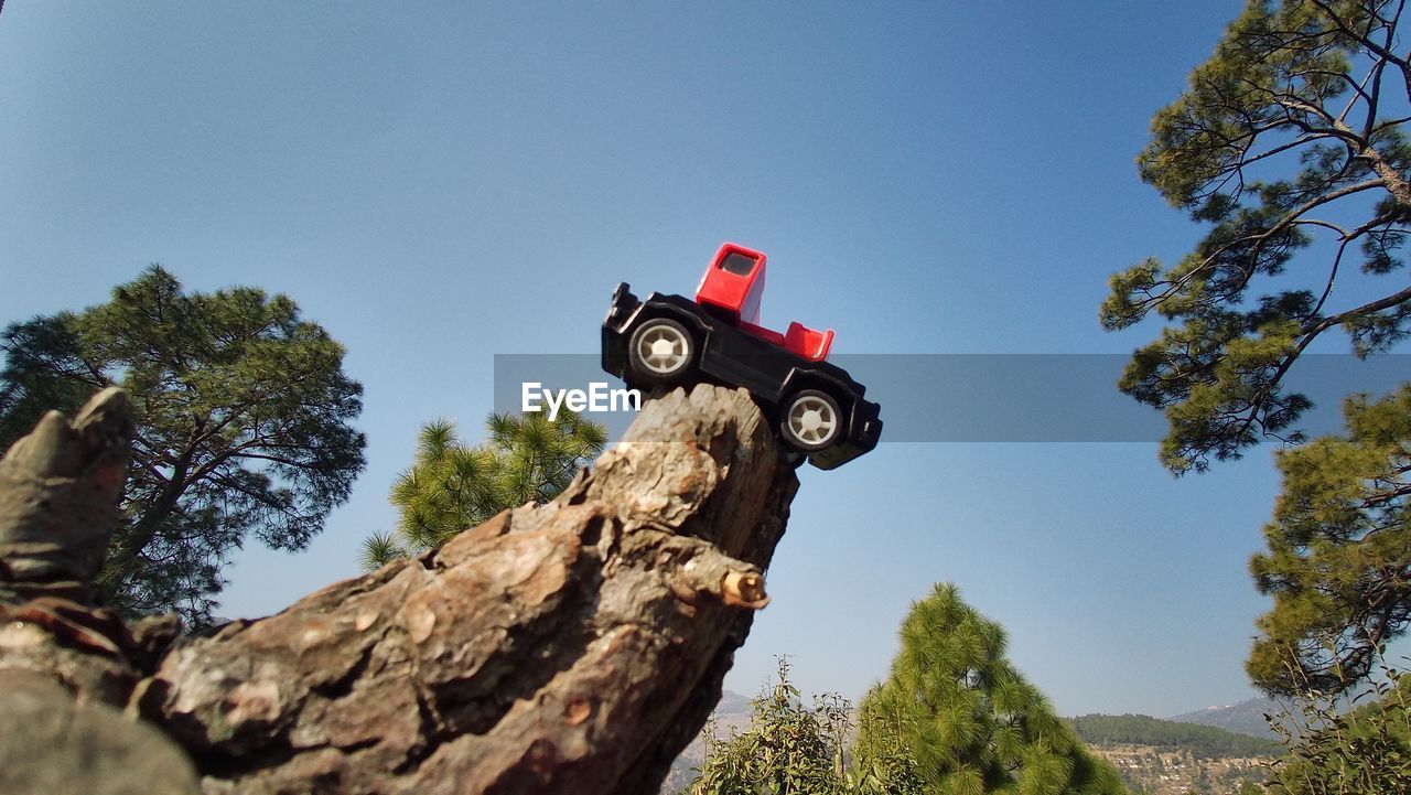 Toy crane at top of the old tree