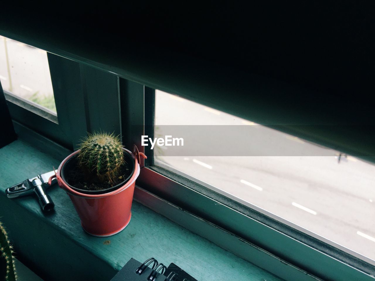 High angle view of potted cactus plant on window sill