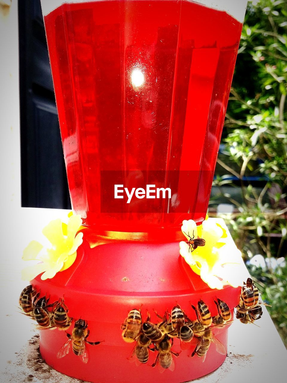 CLOSE UP OF RED BOAT ON SNOW
