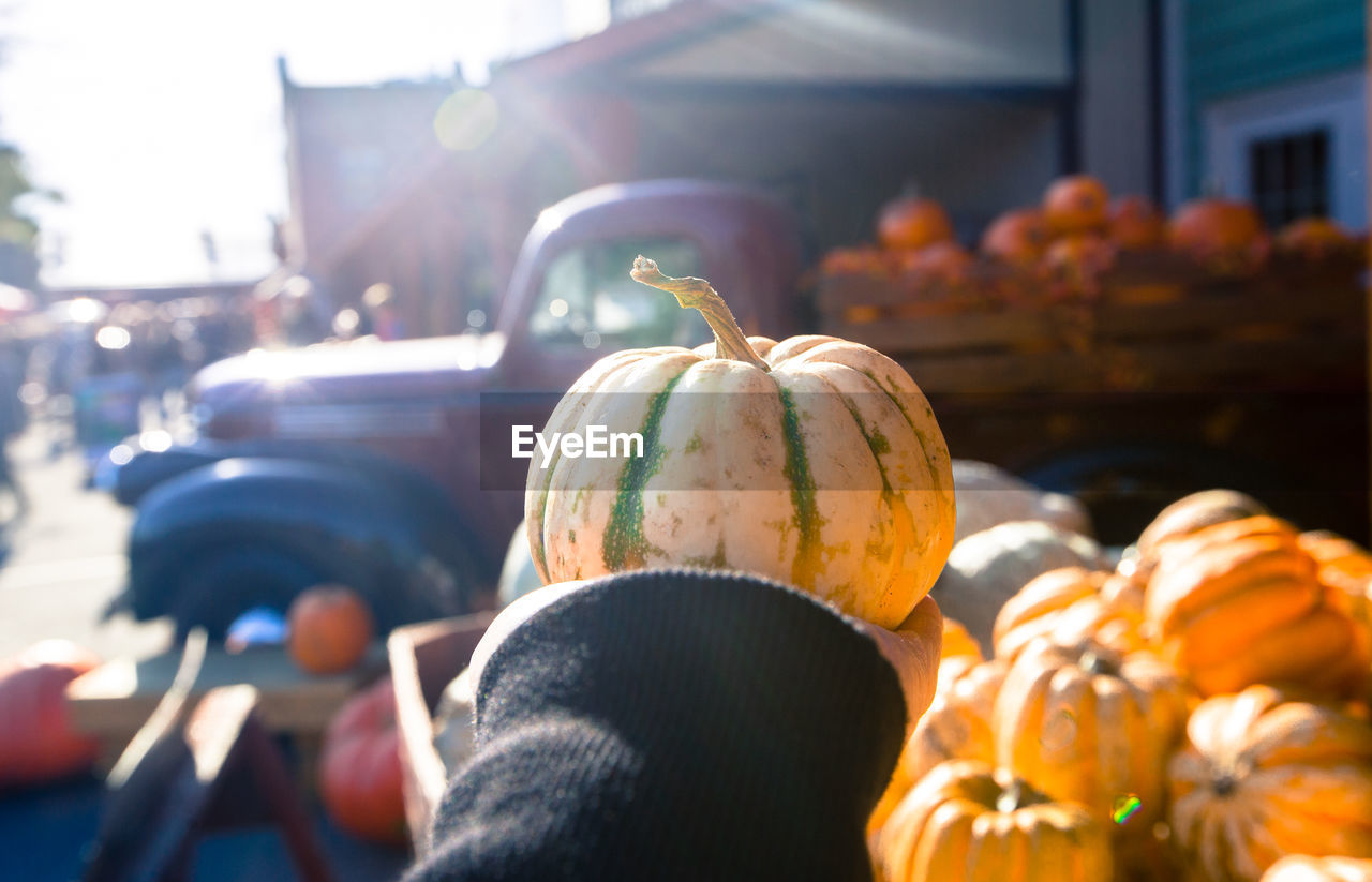 Close-up of person holding pumpkin outdoors