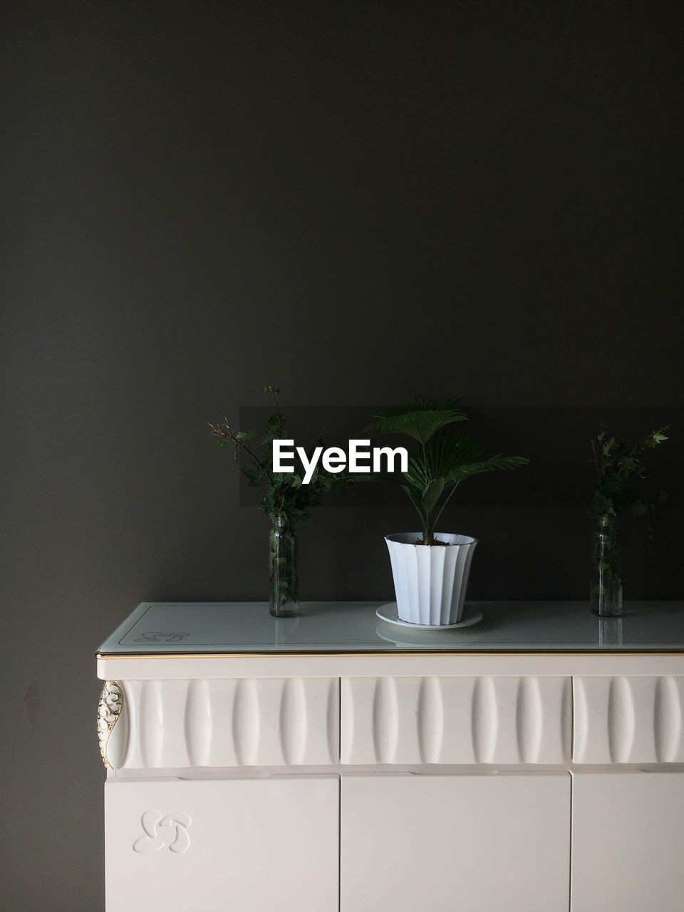 plant, white, indoors, potted plant, flowerpot, no people, nature, green, wall, houseplant, lighting, growth, room, copy space, wall - building feature, table, furniture, home interior, domestic room, flower, leaf, plant part