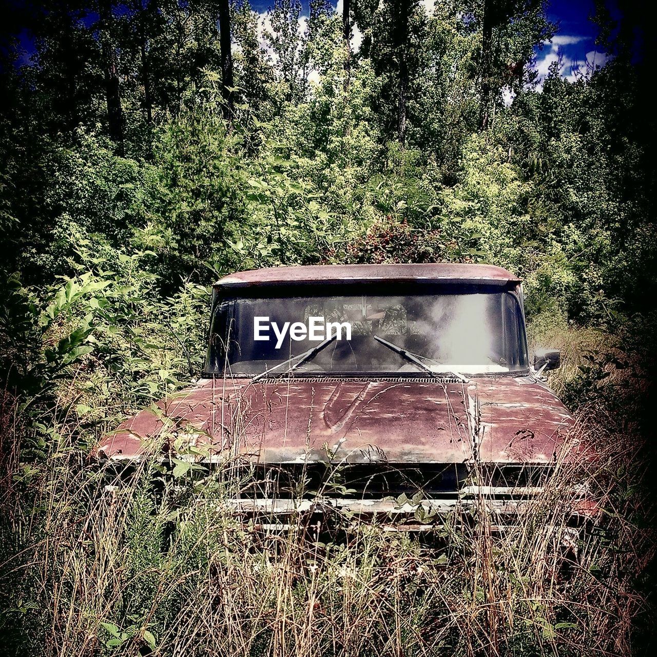 Abandoned vintage car on field