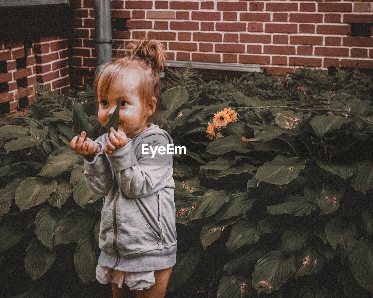 FULL LENGTH OF GIRL HOLDING PLANT AGAINST BRICK WALL