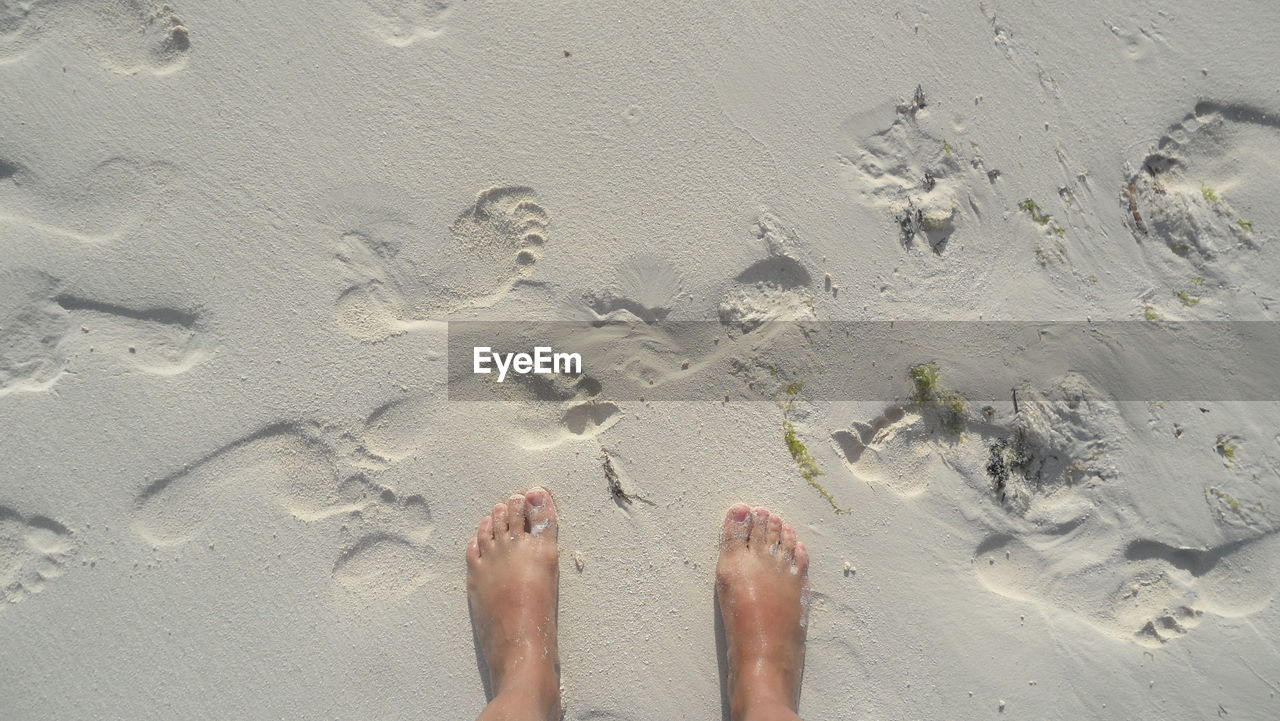 Low section of person at beach