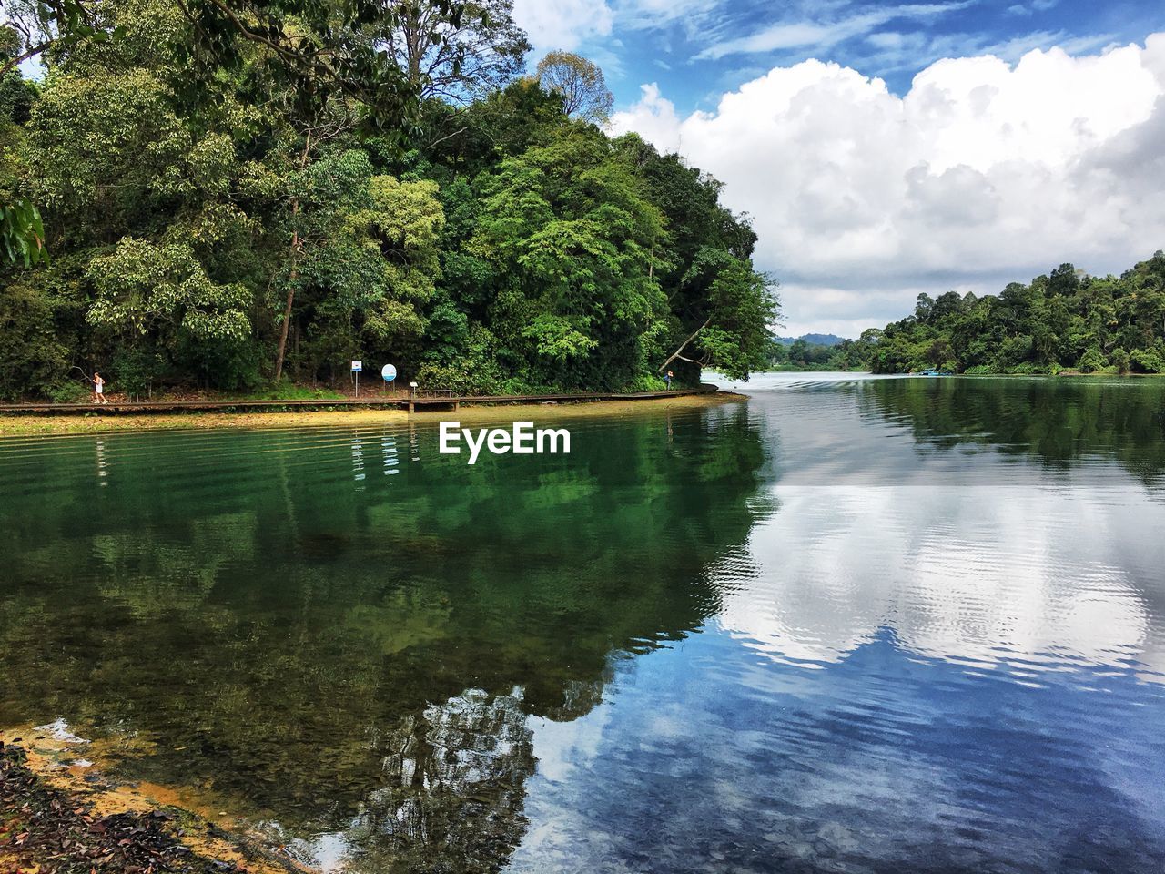 Scenic view of lake by trees against sky