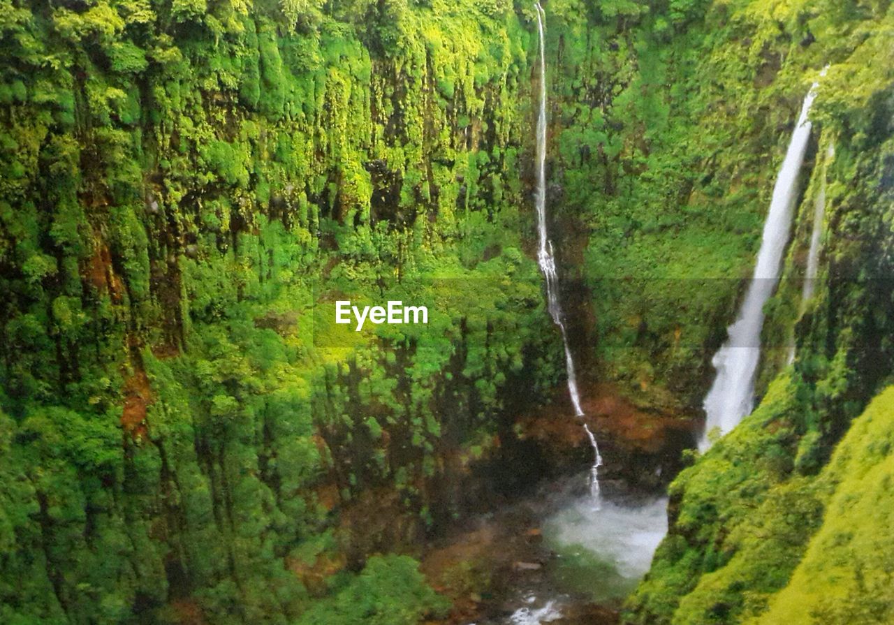 SCENIC VIEW OF RIVER FLOWING IN FOREST