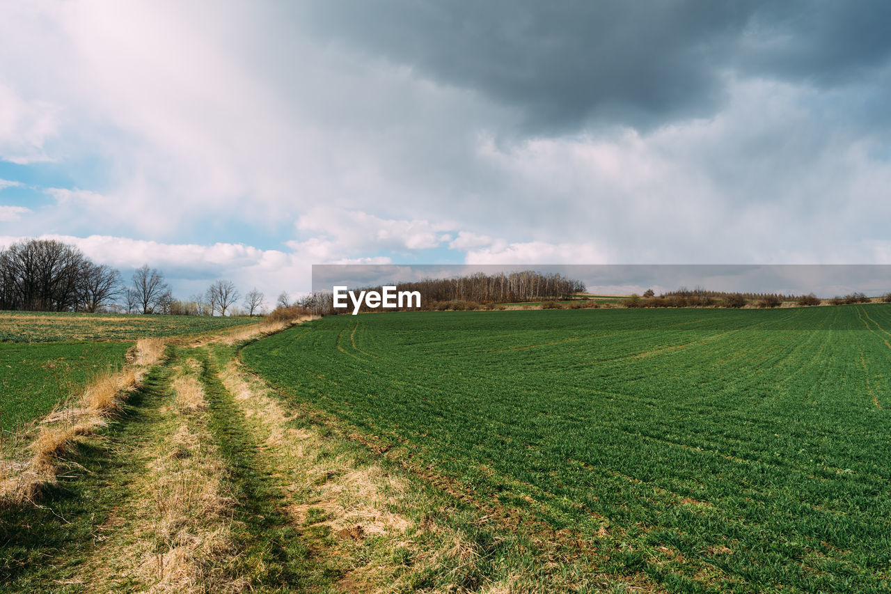 SCENIC VIEW OF FARMS AGAINST SKY