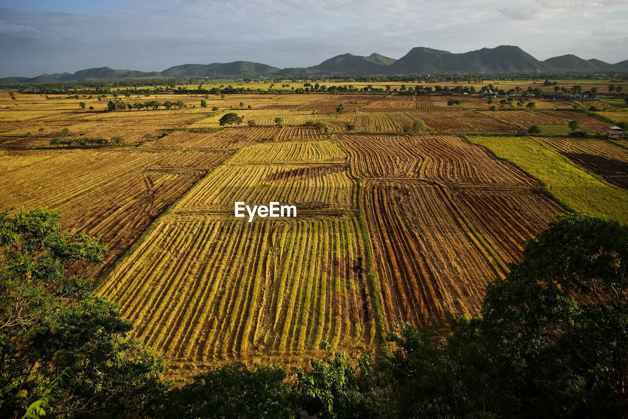 High angle view of agricultural field against sky