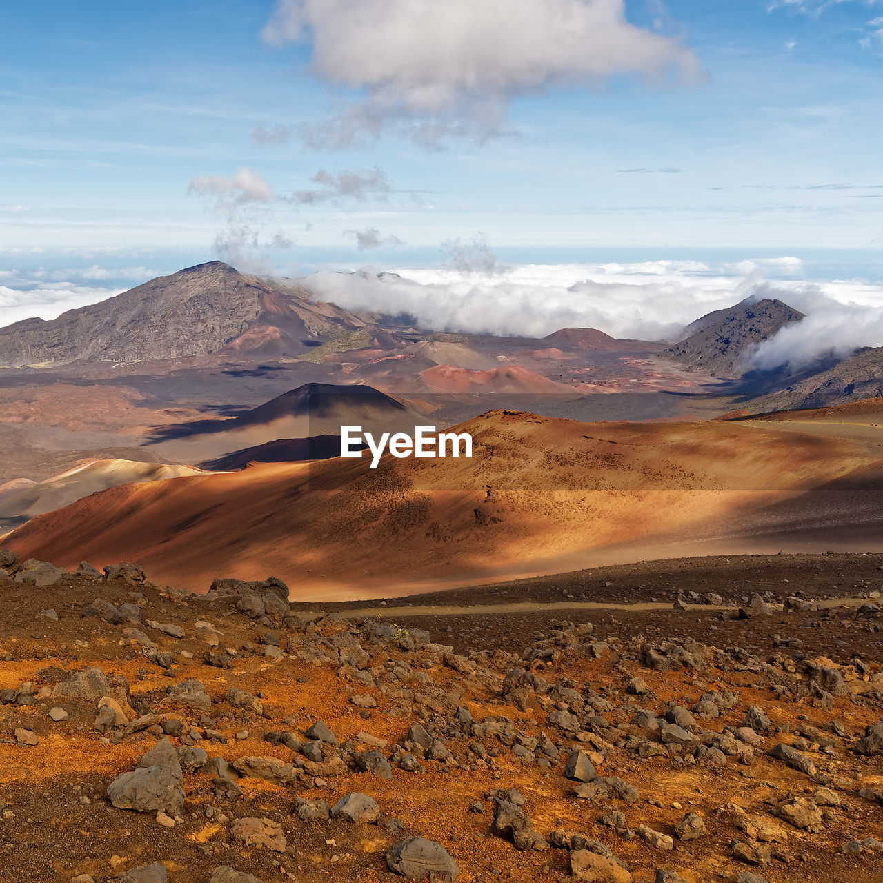 Wide volcanic landscape with lava fields in different colors, wide view, hawaii, maui, haleakala