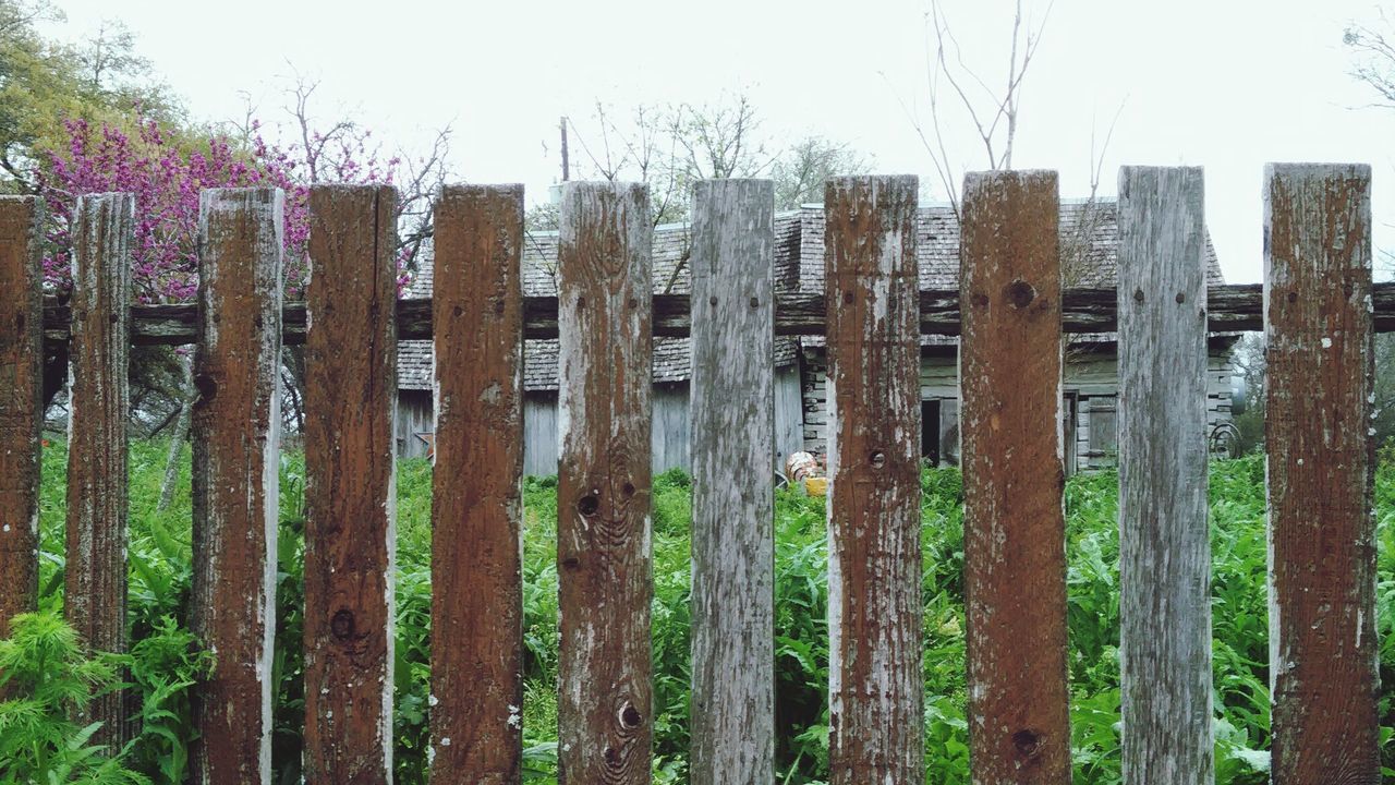Fence surrounding plants against house
