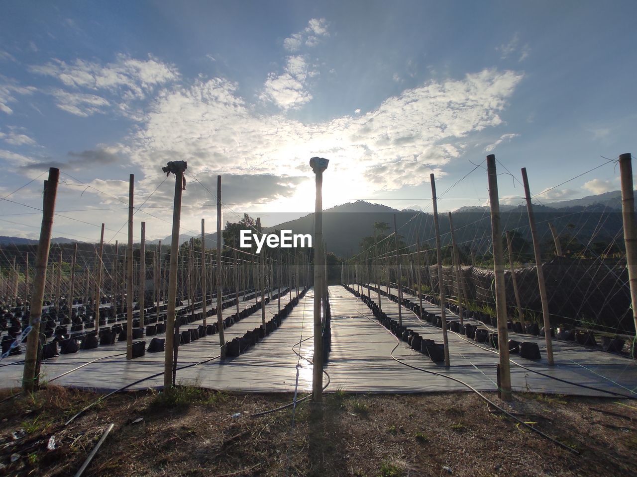 Wooden posts on street amidst field against sky