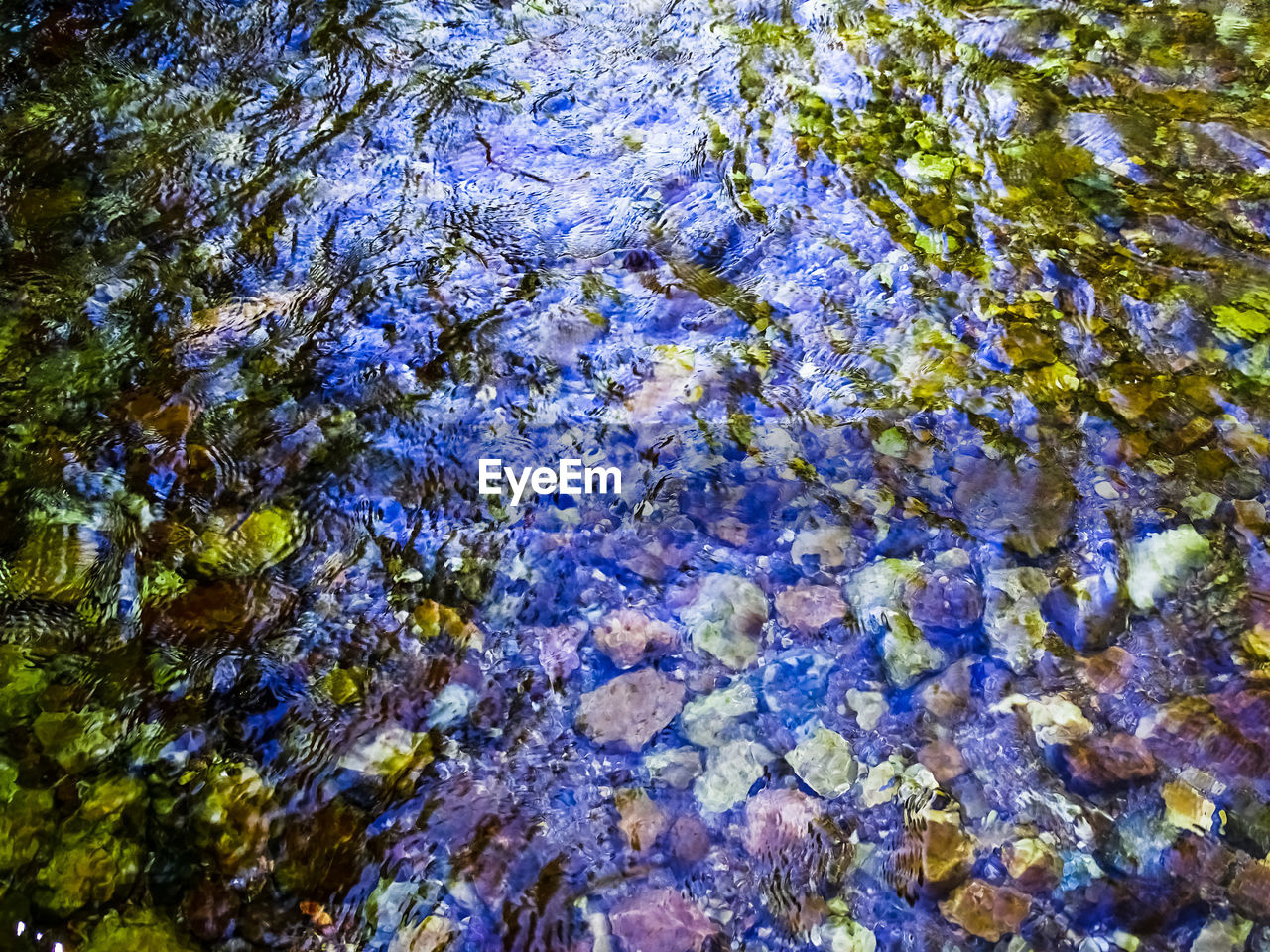 FULL FRAME SHOT OF TREE TRUNK WITH ROCKS