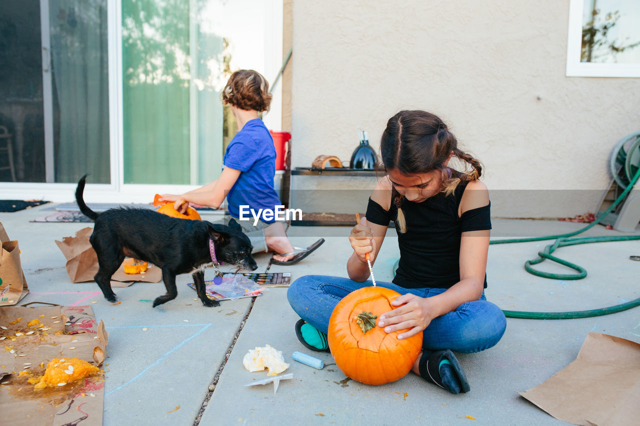 Pet dog runs by while two girls carve their pumpkins