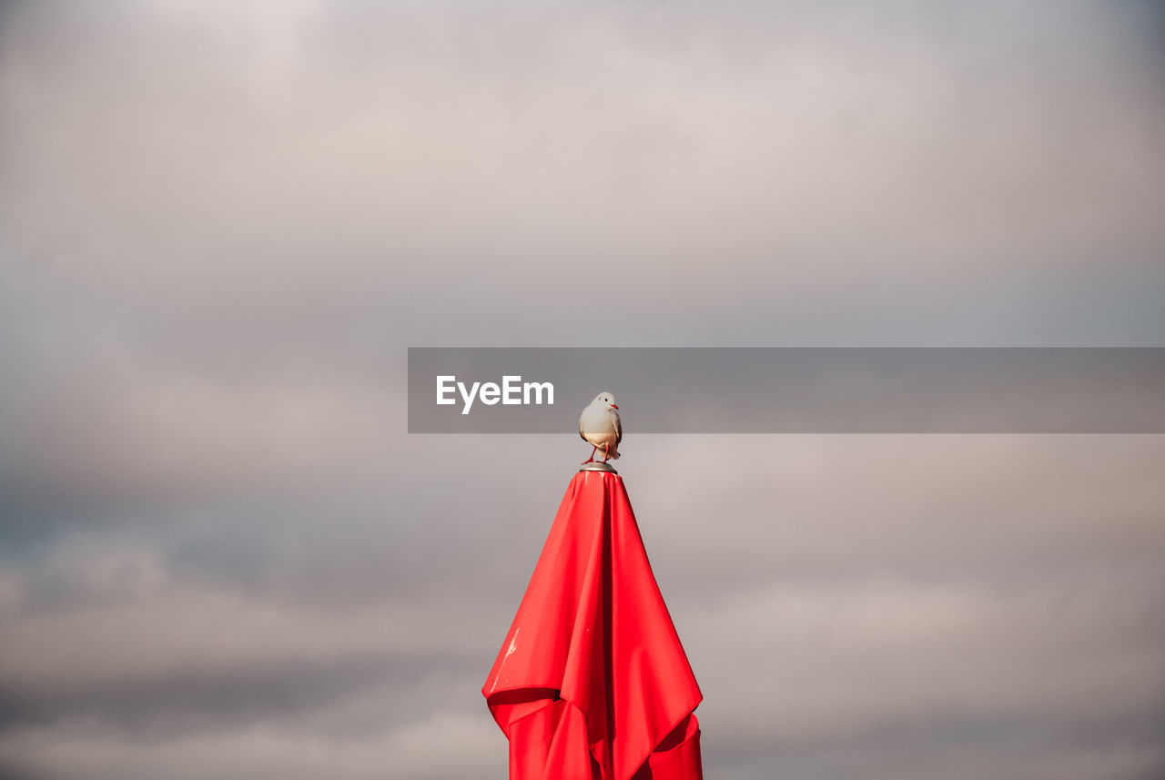 sky, cloud, red, nature, morning, no people, sunlight, copy space, wind, outdoors, day, sea, blue, environment