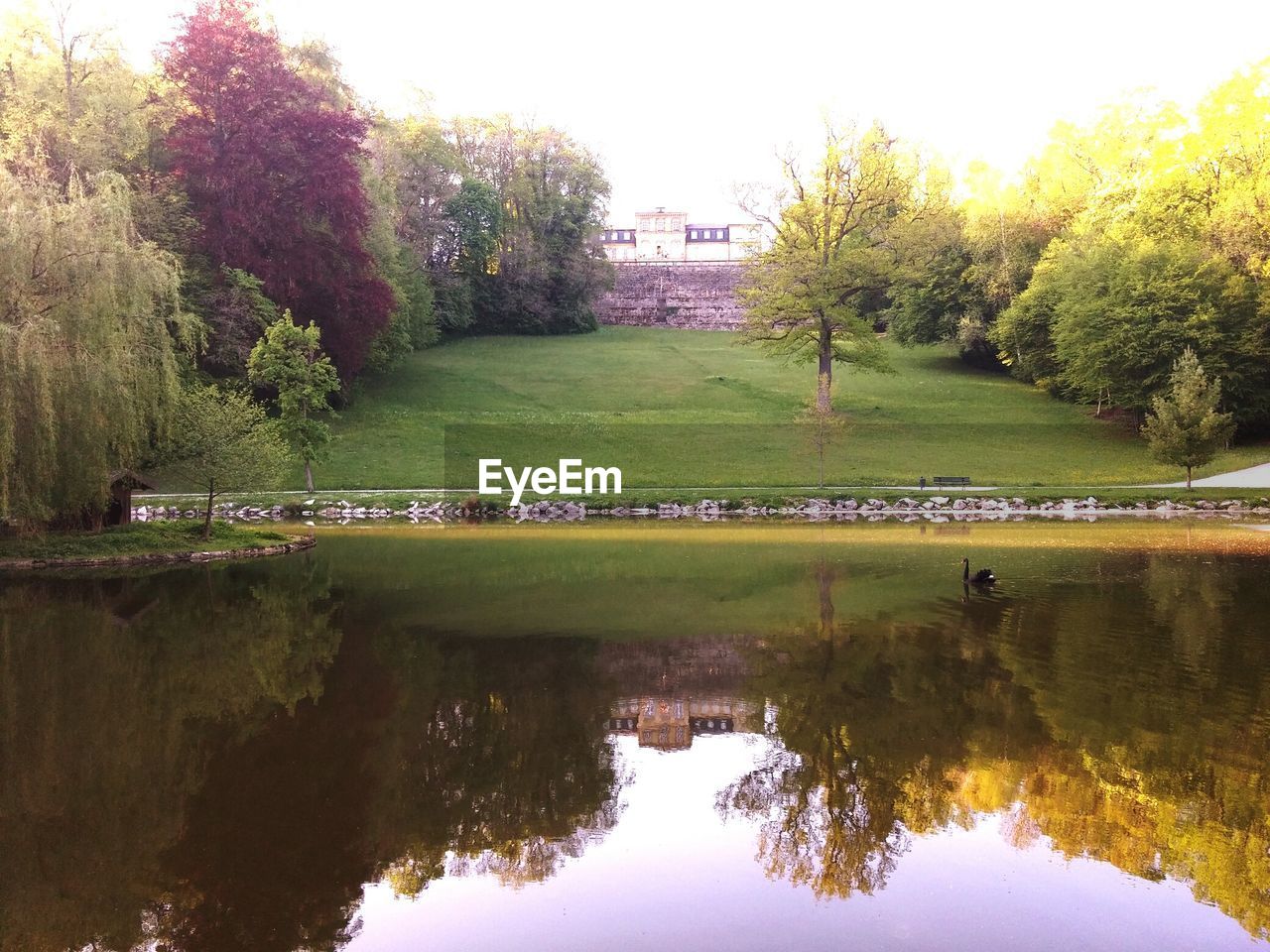 SCENIC VIEW OF LAKE WITH TREES IN BACKGROUND