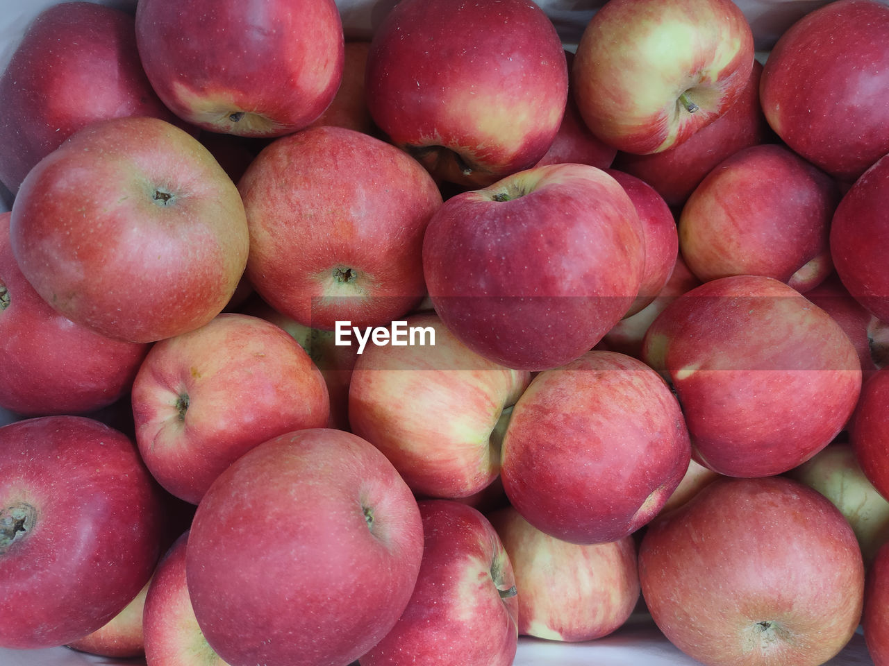 food and drink, food, healthy eating, freshness, wellbeing, fruit, large group of objects, abundance, red, produce, apple, no people, market, close-up, plant, backgrounds, full frame, still life, nectarine, high angle view, organic, for sale, retail, ripe, day, agriculture, heap, apple - fruit, directly above