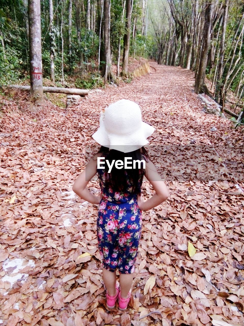 Rear view of little girl standing on dry leaves in forest