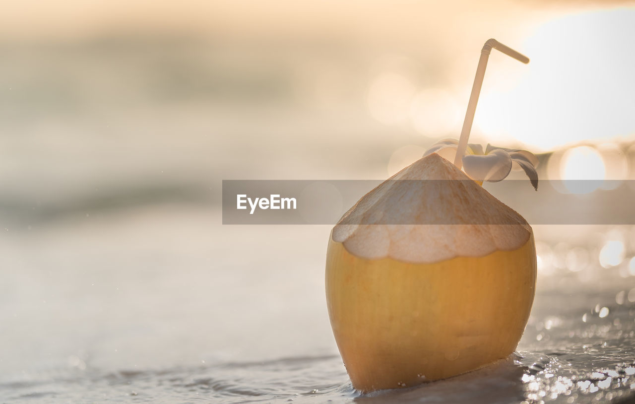 Coconut on a beach