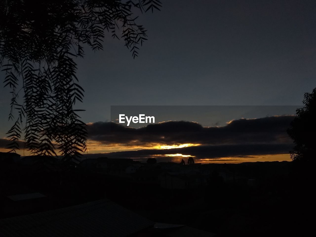 SILHOUETTE TREE AGAINST SKY DURING SUNSET