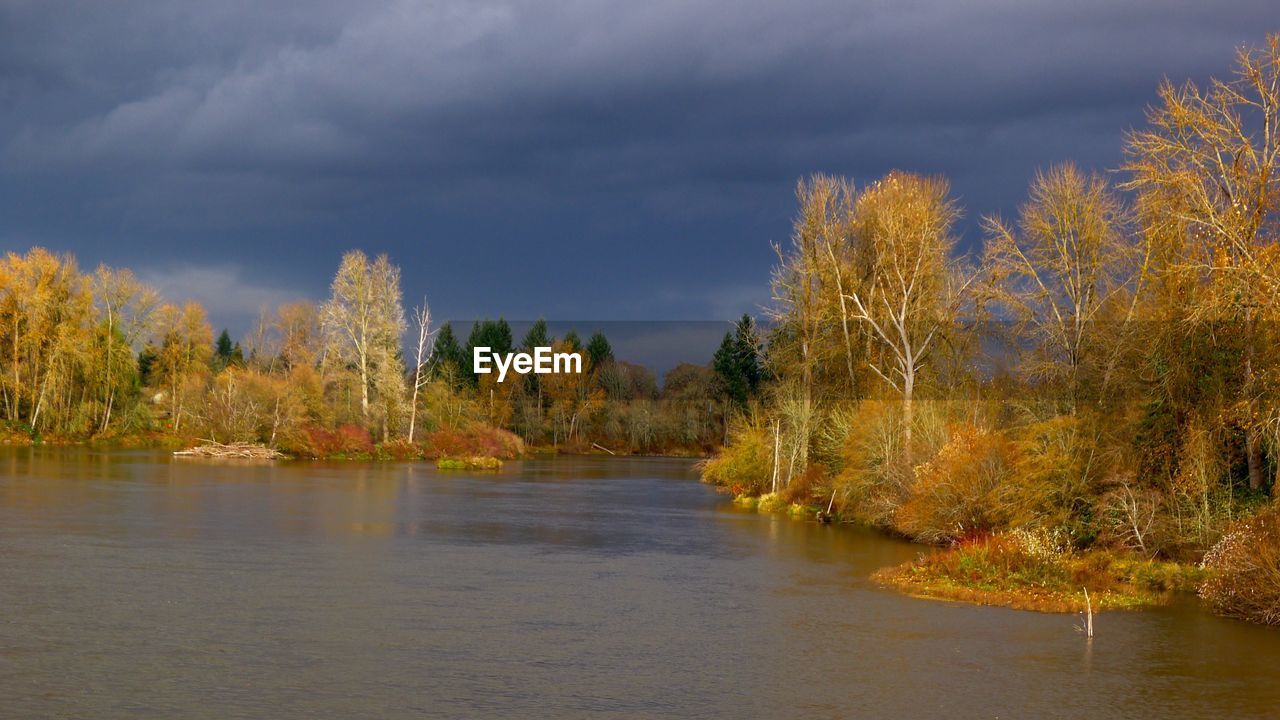 Scenic view of river with trees during autumn