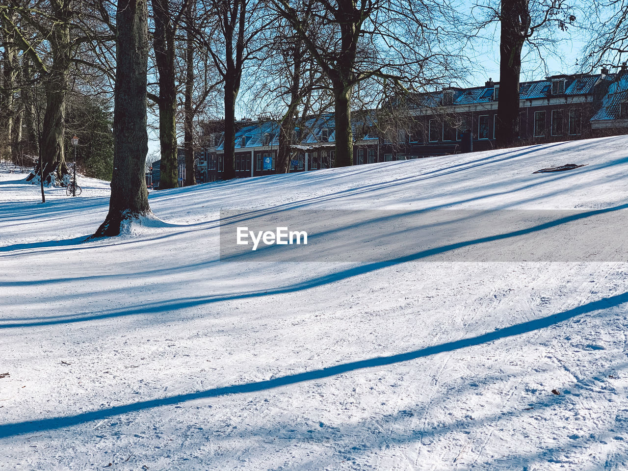 SNOW COVERED FIELD BY TREES