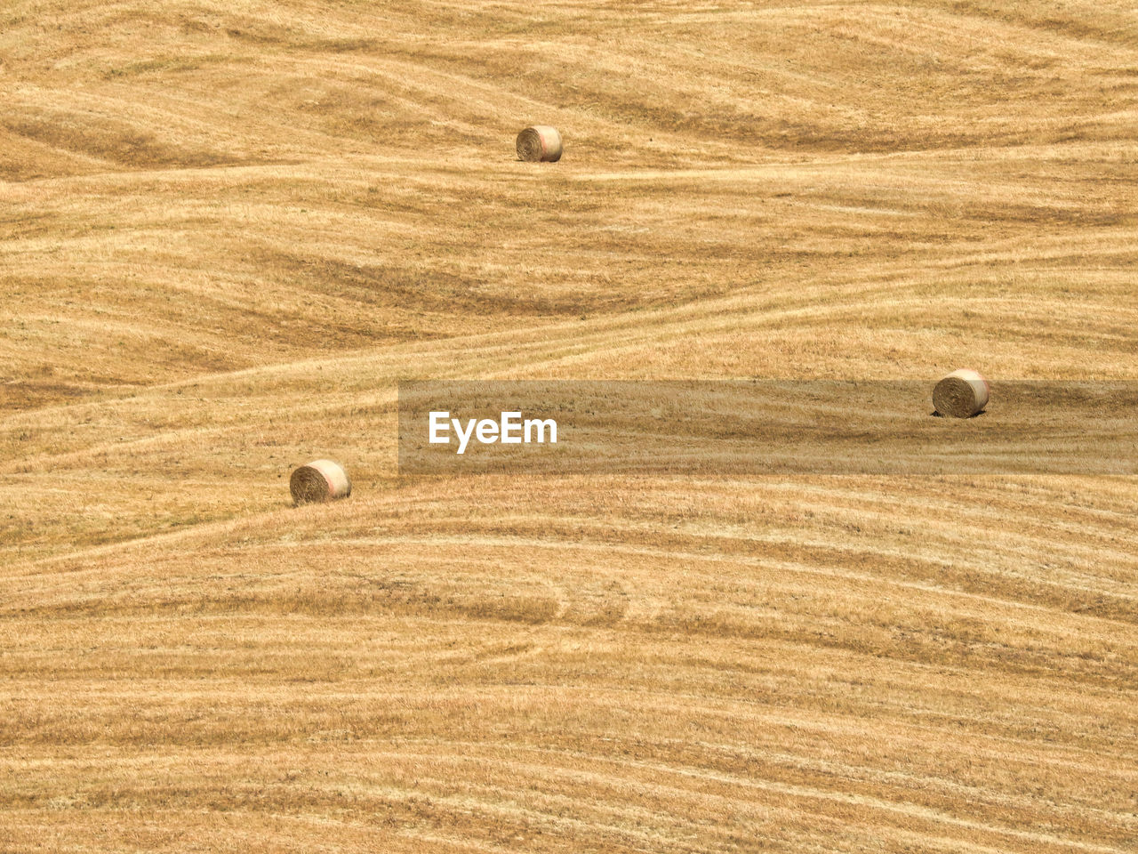 SCENIC VIEW OF HAY BALES ON FIELD