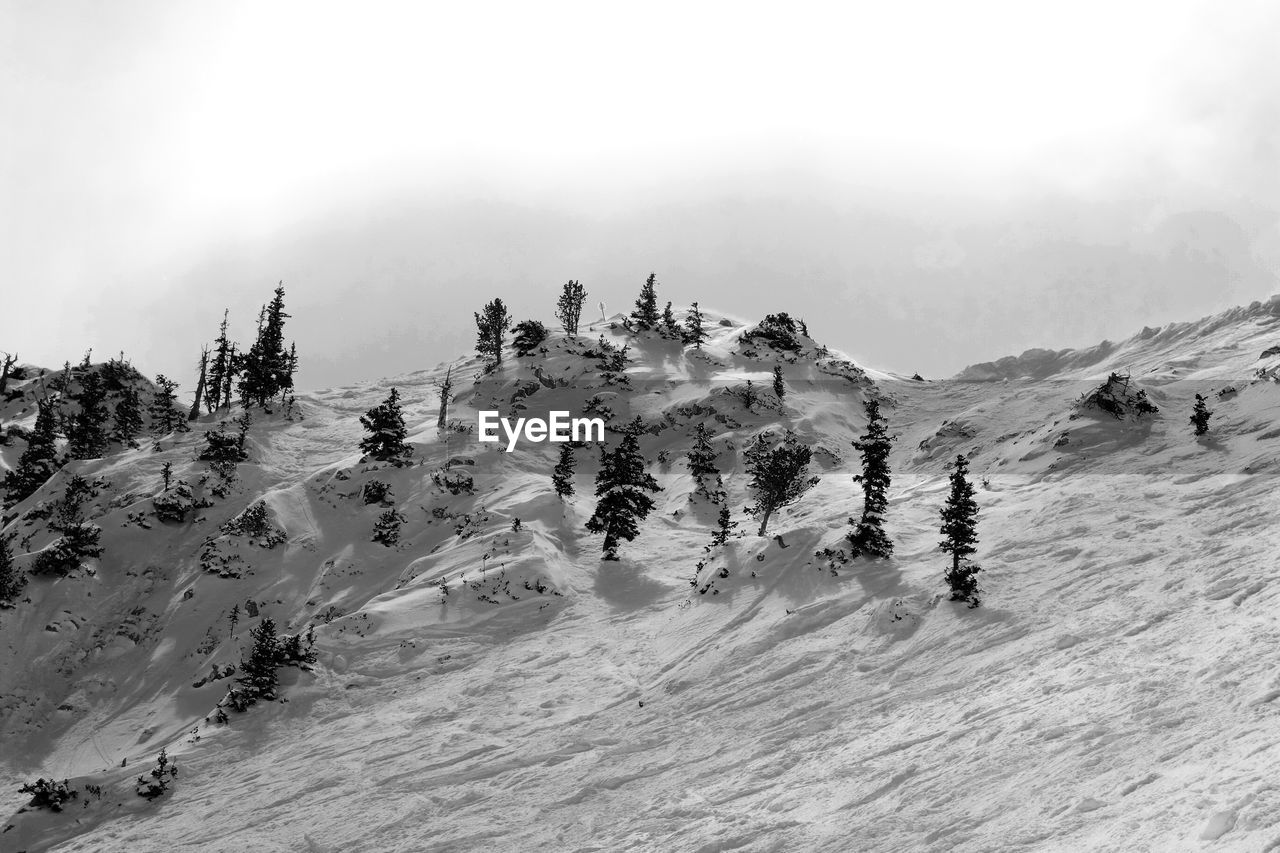 Trees on snow covered hill against sky