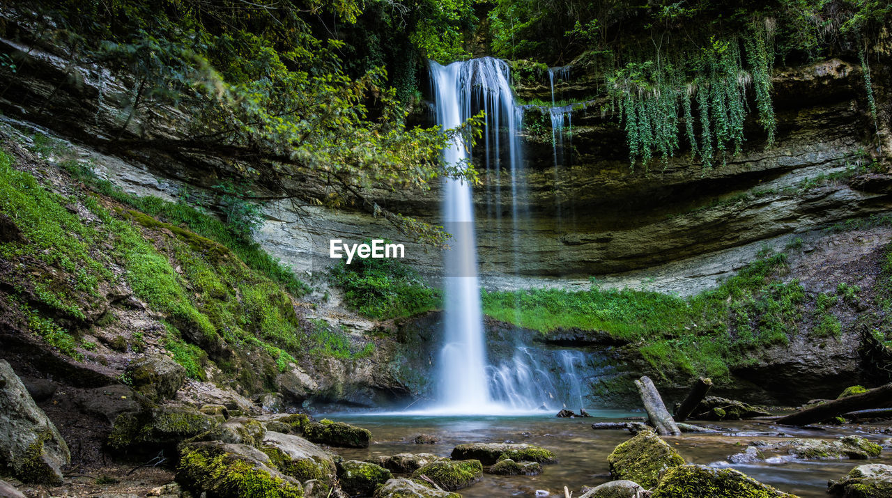 Scenic view of waterfall in forest
