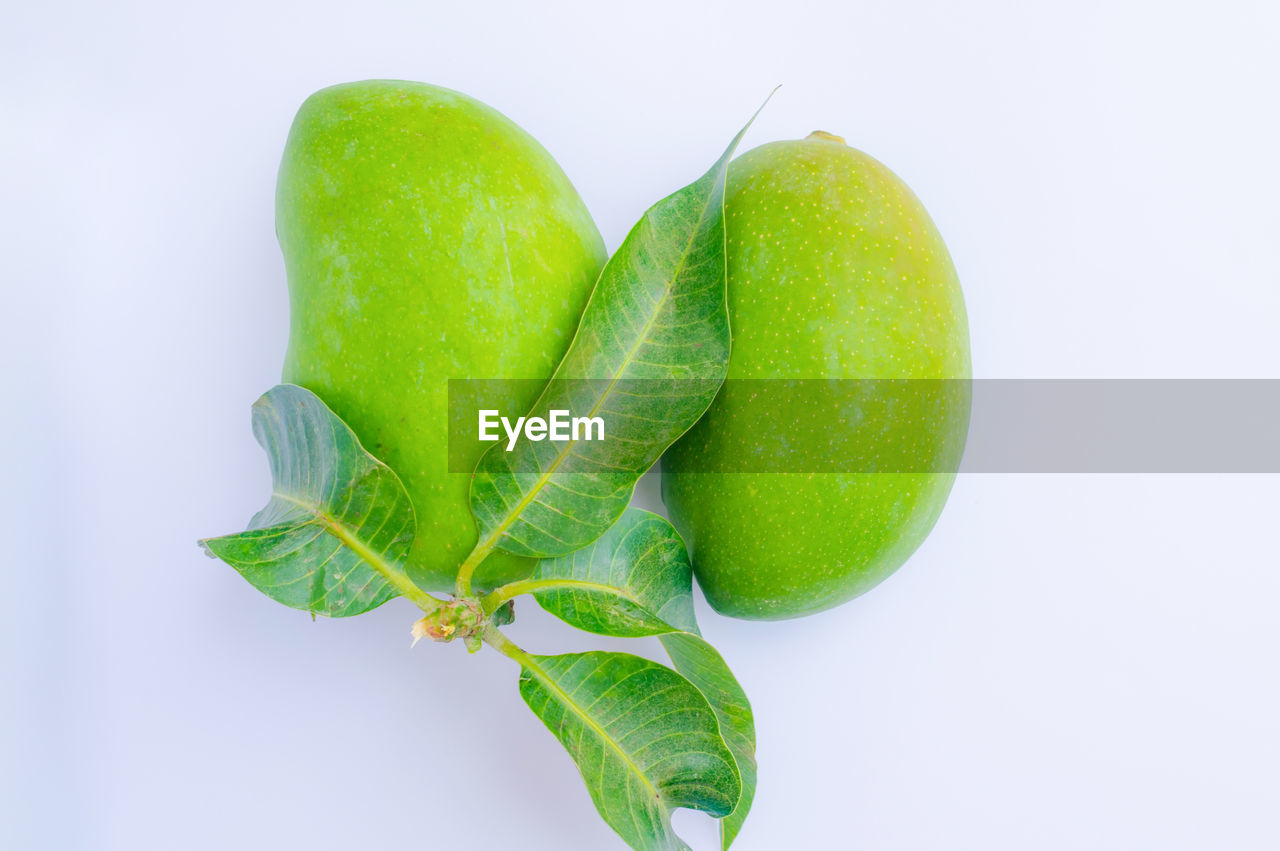 CLOSE-UP OF FRESH GREEN FRUIT AGAINST WHITE BACKGROUND