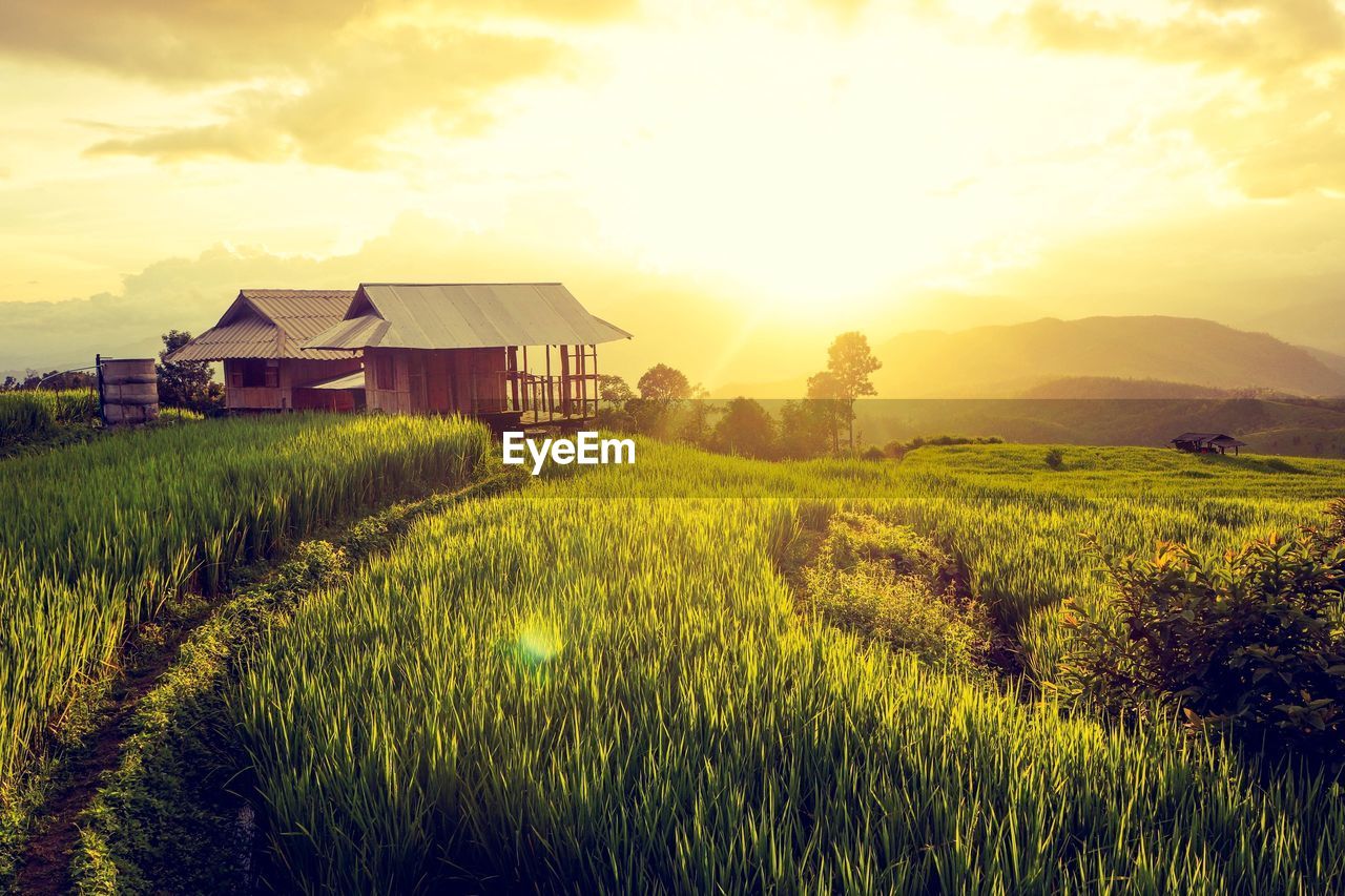 Scenic view of field against sky at sunset