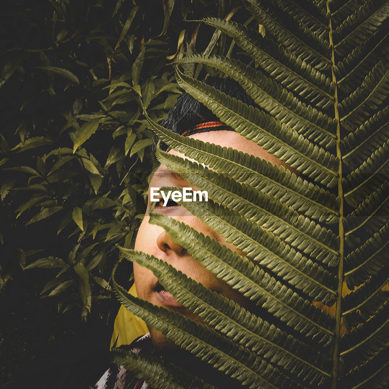 Young man hiding behind plants outdoors