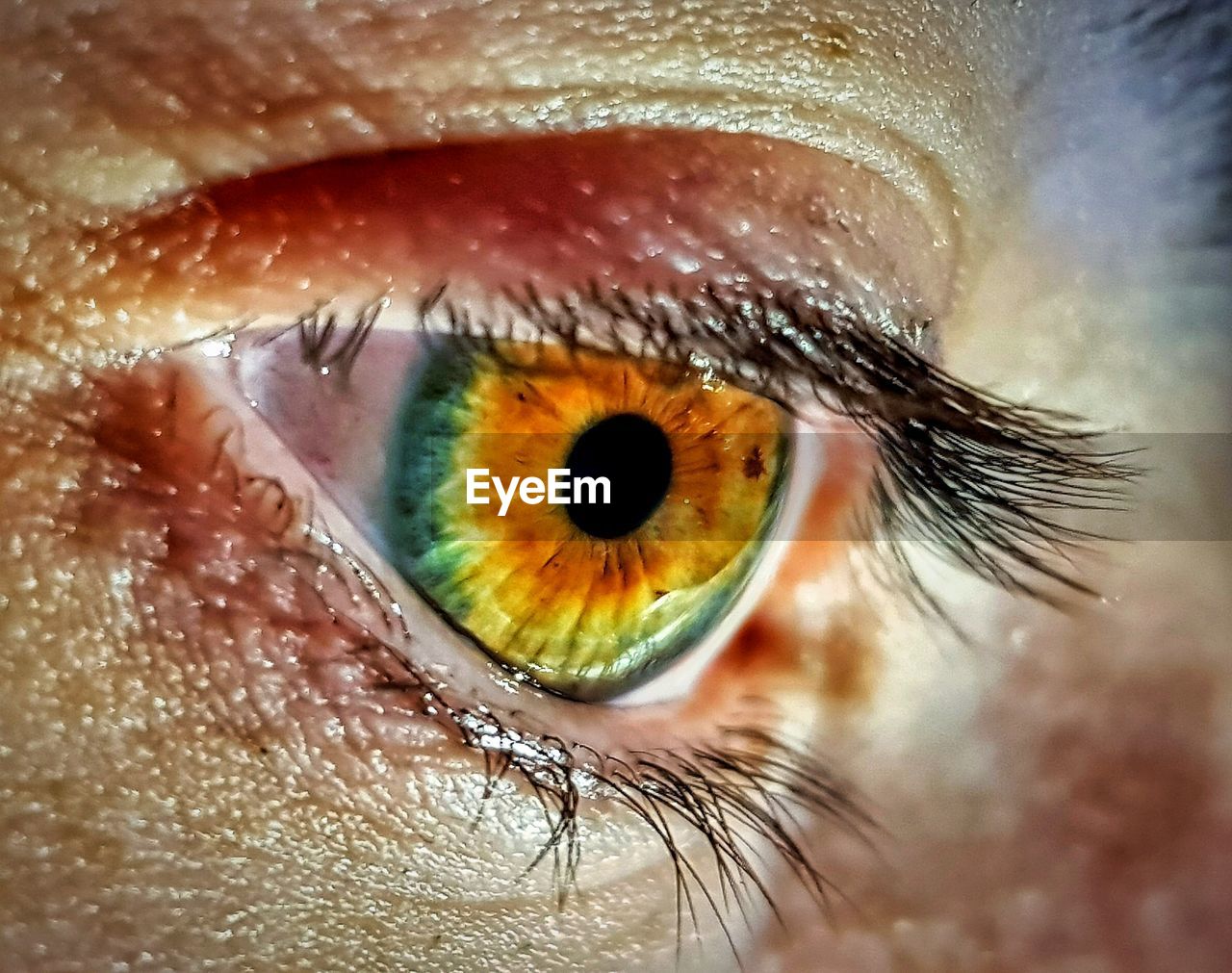 Cropped image of man eye