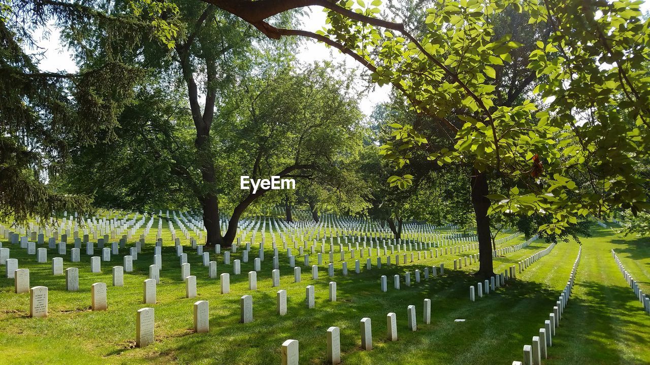 Tombstones at cemetery