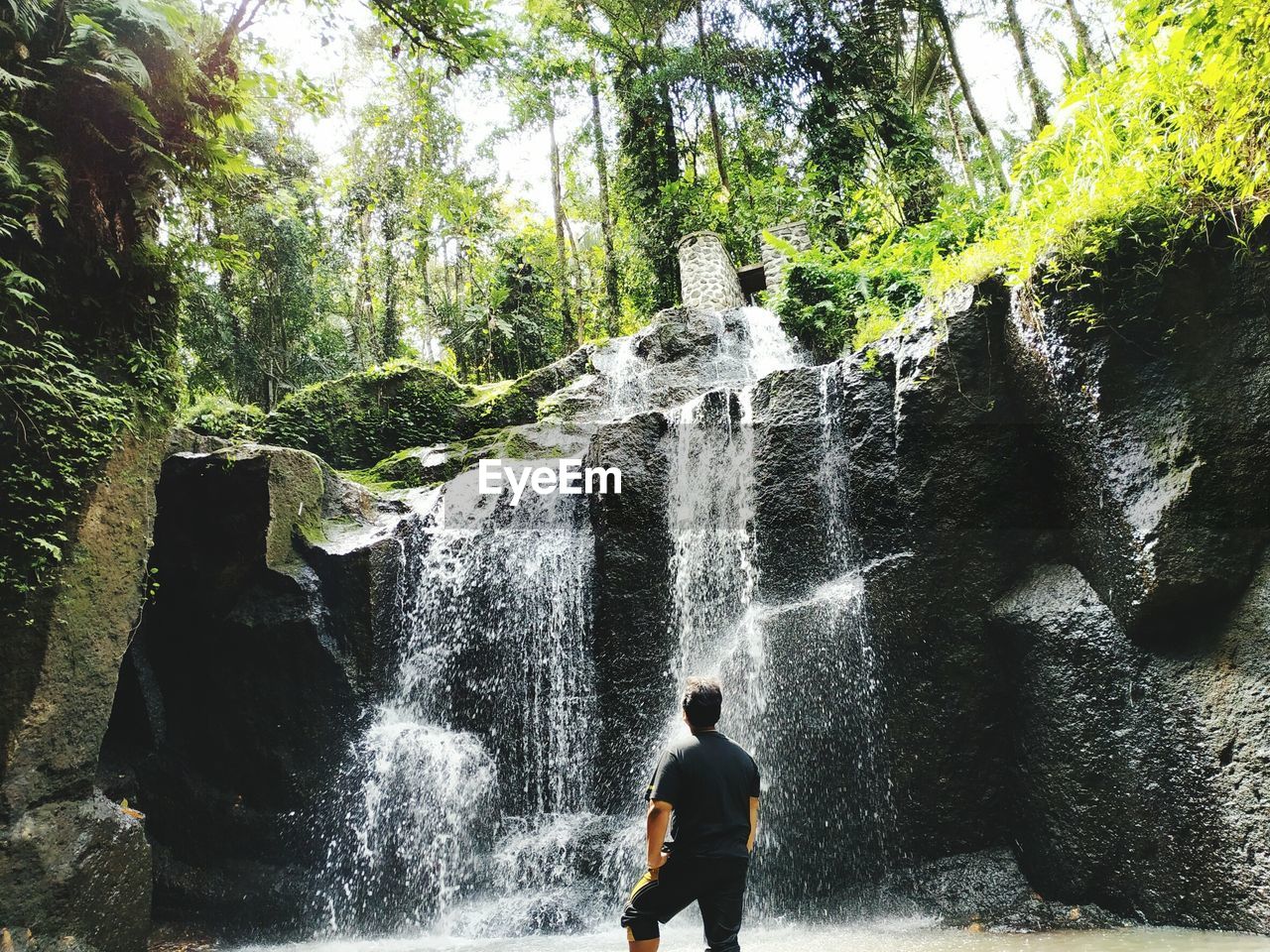 Rear view of man looking at waterfall in forest