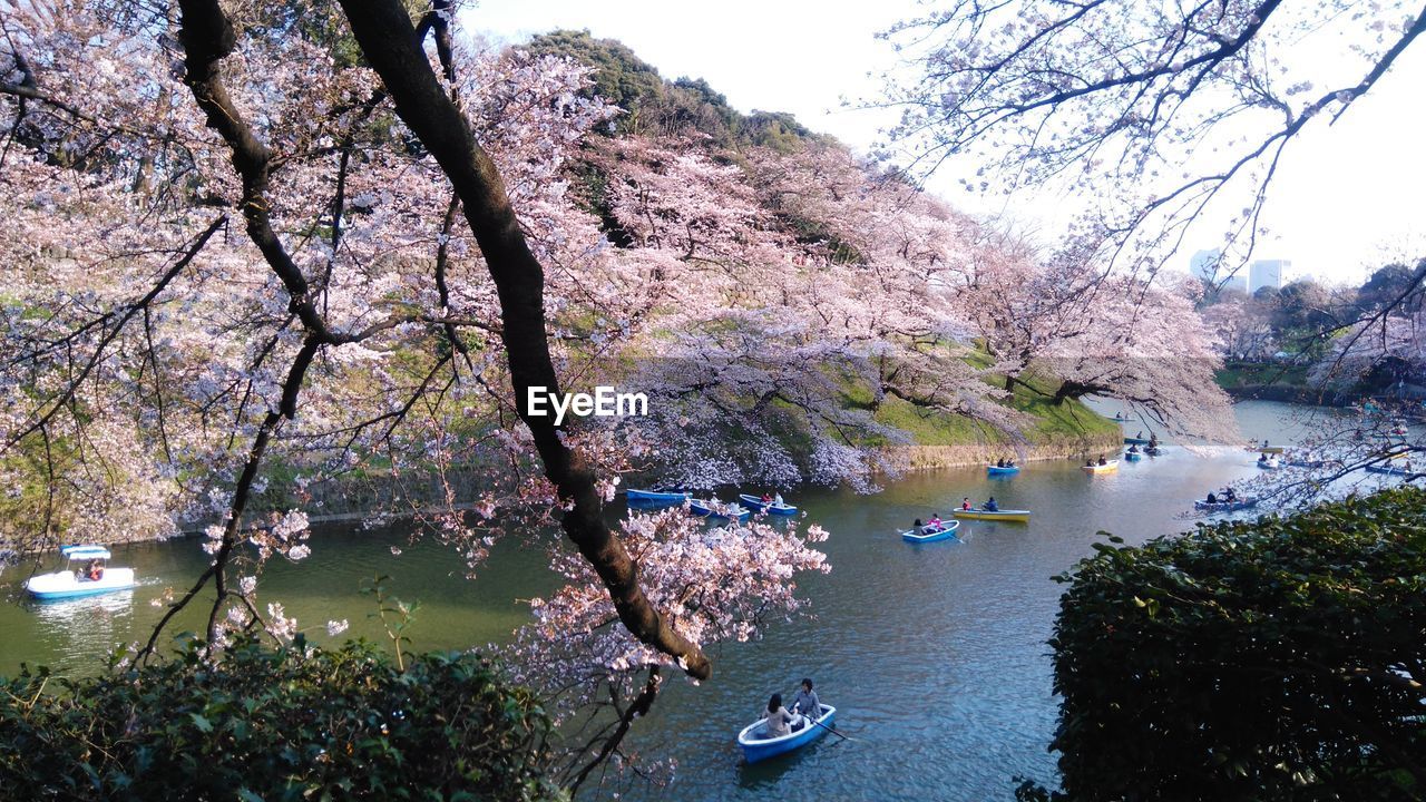 Boat sailing on river by trees against sky