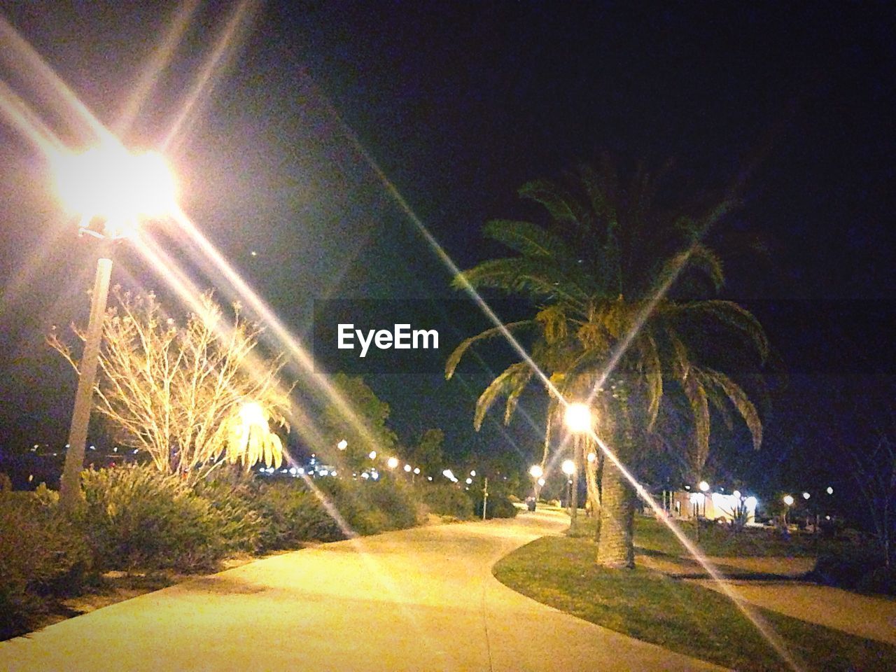 VIEW OF ILLUMINATED STREET LIGHTS AT NIGHT
