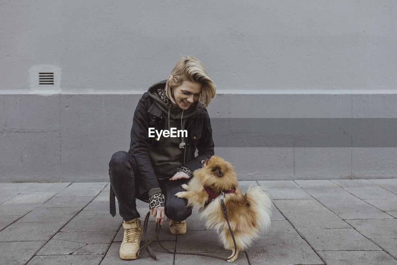 Smiling blond woman crouching while playing with pomeranian dog against wall