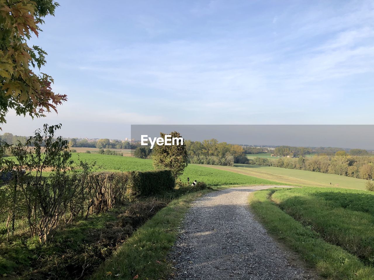 ROAD PASSING THROUGH FIELD