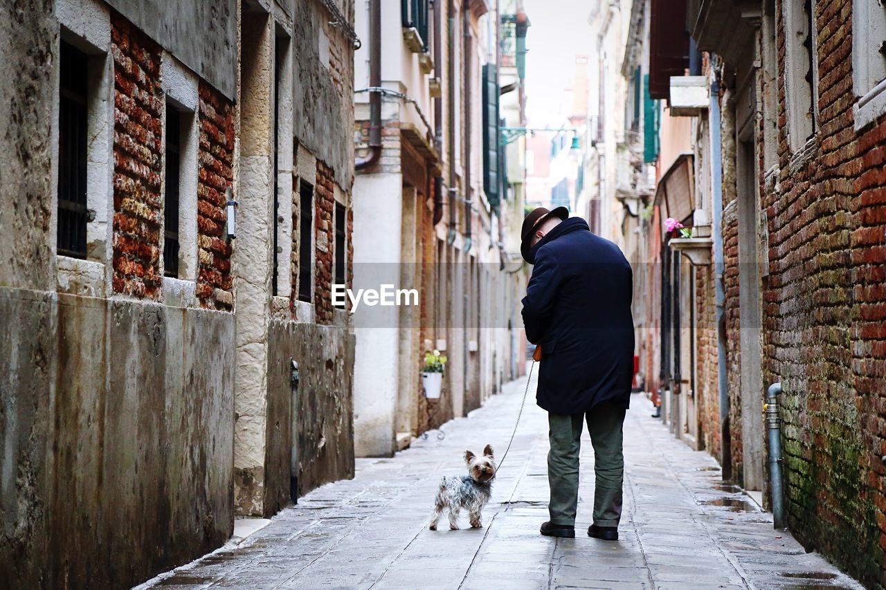 Rear view of man walking dog in alley between buildings in city