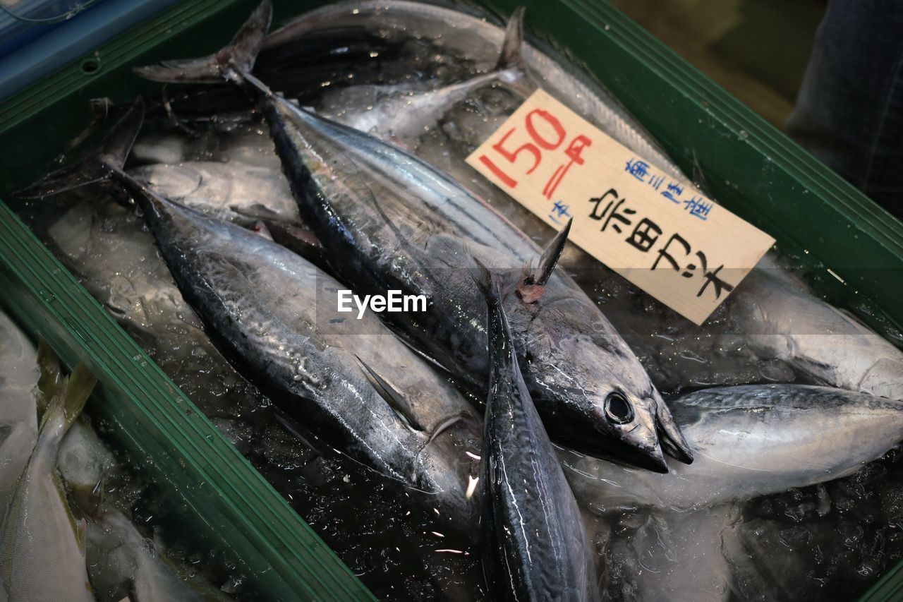 HIGH ANGLE VIEW OF FISH FOR SALE