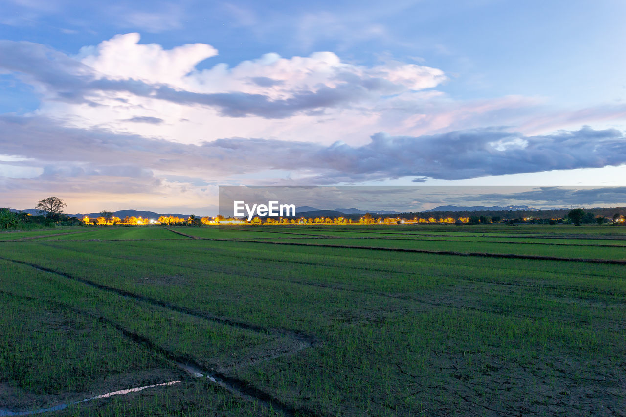 landscape, environment, sky, horizon, land, field, agriculture, rural scene, cloud, plain, scenics - nature, nature, plant, farm, crop, beauty in nature, grassland, growth, hill, tranquility, no people, grass, food and drink, food, tranquil scene, rural area, green, prairie, outdoors, vegetable, travel, freshness, flower, morning, blue, environmental conservation, social issues, architecture, sunlight, idyllic, day, building, travel destinations, in a row, non-urban scene, sun, meadow, plateau