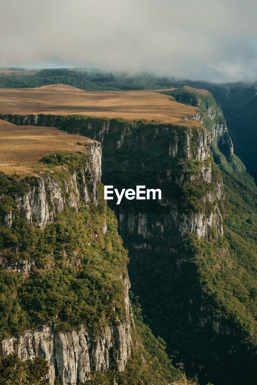 Fortaleza canyon with steep rocky cliffs covered by forest near cambará do sul. brazil.