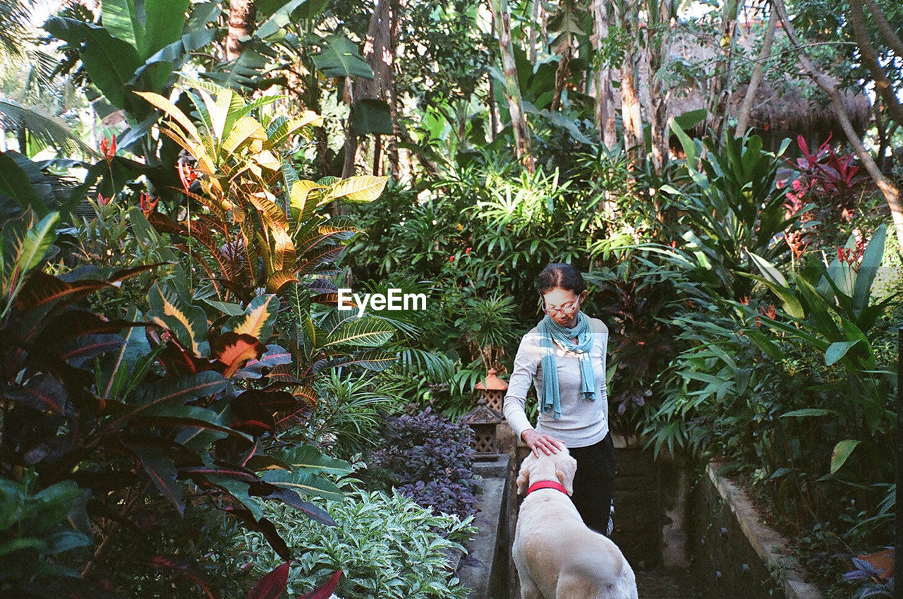 Woman petting dog amidst plants at park