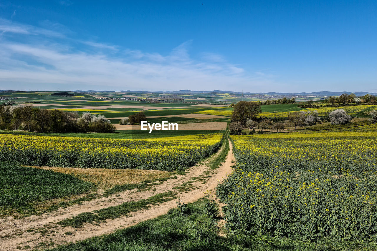 landscape, environment, land, sky, field, plant, rural scene, agriculture, scenics - nature, grass, nature, horizon, beauty in nature, farm, crop, plain, rural area, hill, grassland, tranquility, no people, flower, prairie, food and drink, tranquil scene, blue, rapeseed, growth, green, cloud, food, tree, meadow, outdoors, non-urban scene, day, travel, sunlight, road, travel destinations, plateau, idyllic, sunny, freshness, summer, springtime, cereal plant