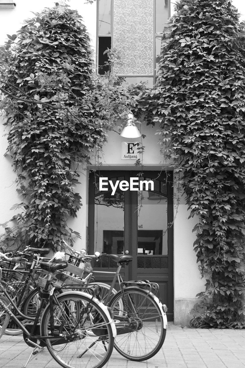 BICYCLES ON STREET BY BUILDING