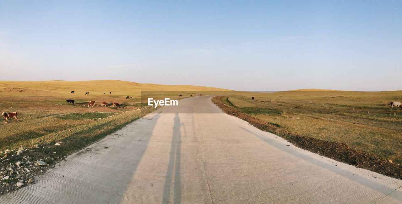 Empty road amidst field against sky