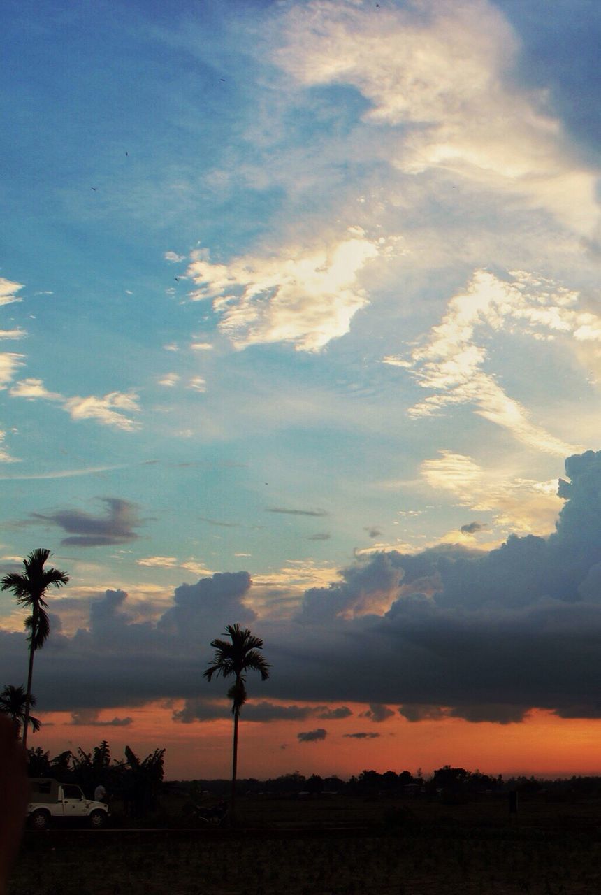 Silhouette of landscape at sunset