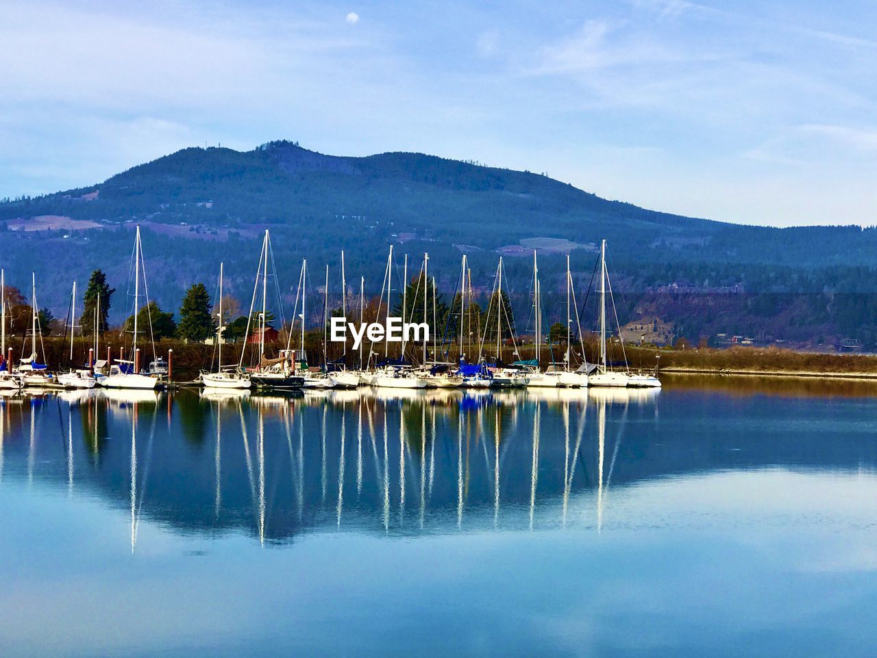 SAILBOATS MOORED IN MARINA