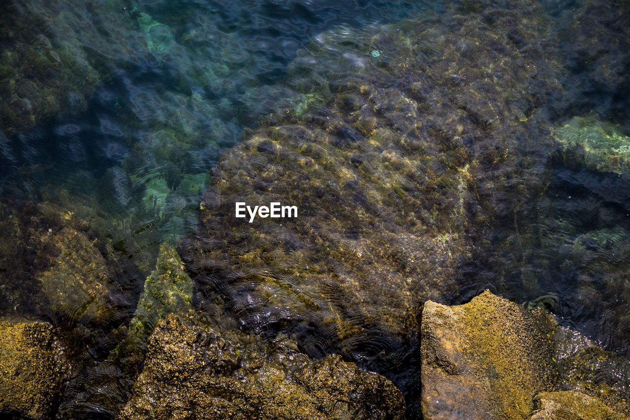 high angle view of rock